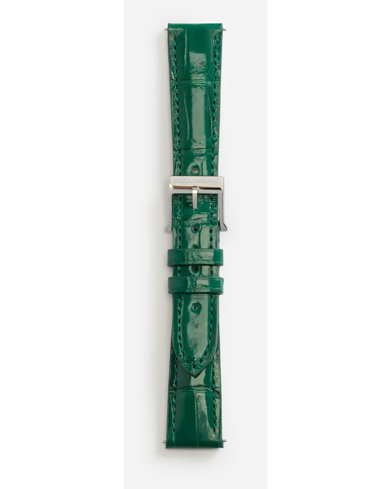 Dolce & Gabbana Alligator Strap With Buckle And Hook In Steel - Donna Orologi E Cinturini Verde Scuro Verde