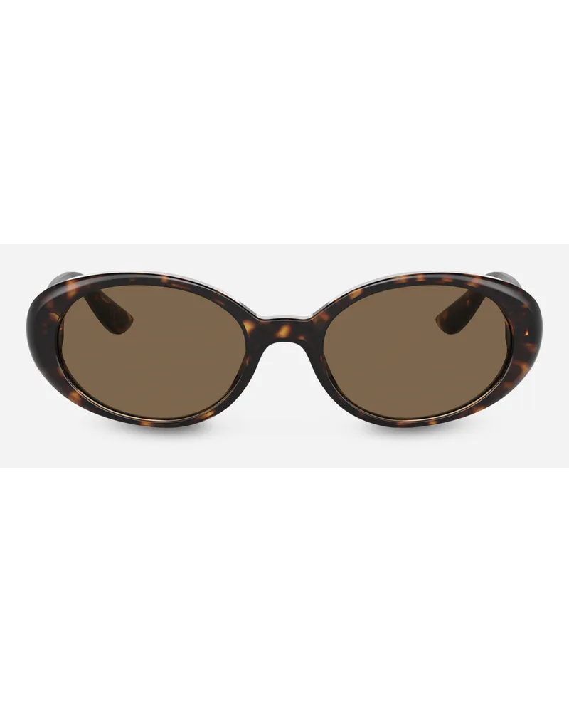 Dolce & Gabbana Re-edition | Dna Sunglasses - Donna Avana Acetato Generic