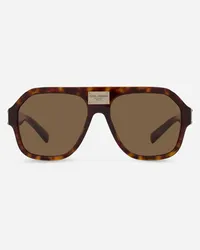 Dolce & Gabbana Dg Plaque Sunglasses - Uomo Novità Avana Acetato Generic