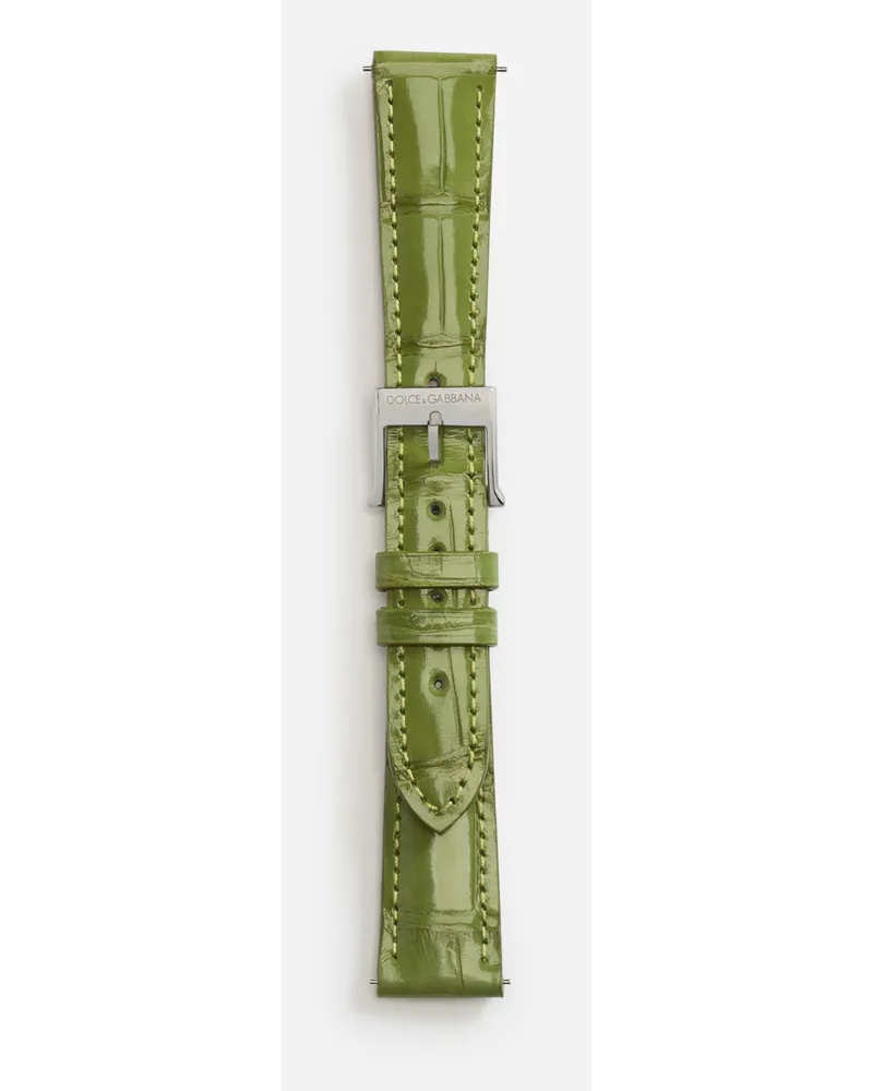 Dolce & Gabbana Alligator Strap With Buckle And Hook In Steel - Donna Cinturini Da Orologio Verde Oliva Verde