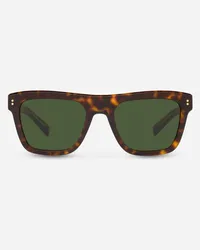 Dolce & Gabbana Domenico Sunglasses - Uomo Occhiali Da Sole Avana Generic