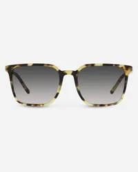 Dolce & Gabbana Thin Profile Sunglasses - Uomo Occhiali Da Sole Avana Generic