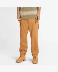 Timberland Pantaloni Cargo in Twill da Uomo in giallo scuro, Uomo, giallo, Taglia Giallo