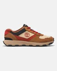 Timberland Sneaker Bassa Stringata Winsor Park da Uomo in marrone chiaro, Uomo, marrone, Taglia Marrone