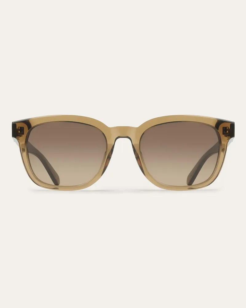 Ferragamo Uomo Occhiali da sole Marrone Marrone