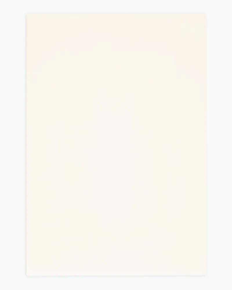 Armani Exchange Sciarpa con Bordi Frangiati Bianco