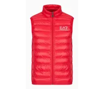 OFFICIAL STORE Gilet Packable Core Identity