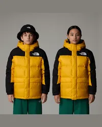 The North Face Himalayan Kurzgeschnittener Daunen-parka Für Jugendliche male Summit