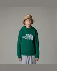 The North Face Drew Peak Hoodie Für Jungen male Evergreen