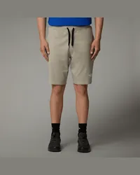 The North Face Graphic Light Shorts male Clay