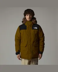 The North Face Mcmurdo Parka male Moss