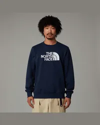 The North Face Drew Peak Sweatshirt male Summit