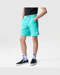 The North Face Never Stop Shorts Für Jungen male Geyser