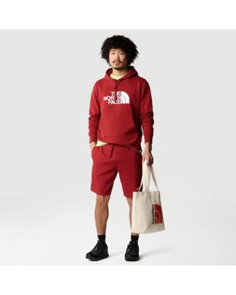 The North Face Graphic Light Shorts Iron Red