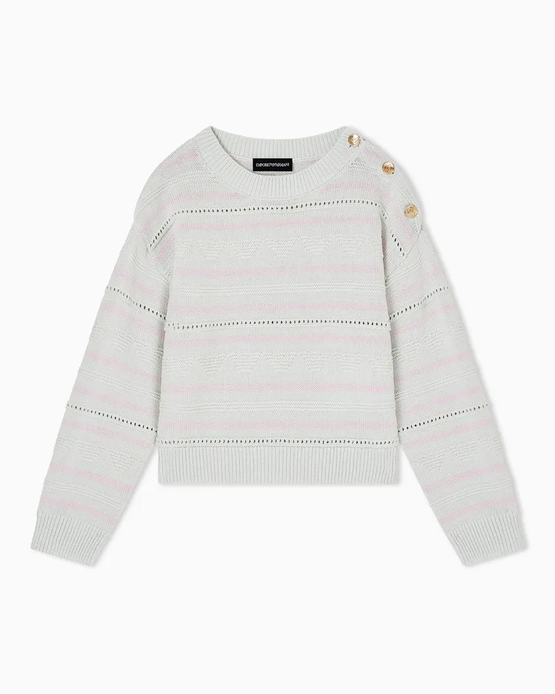 Emporio Armani Maglione a righe motivo eagle jacquard Fantasia