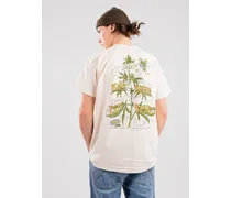 Plantbased Lifestyle T-Shirt