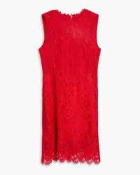 Dolce & Gabbana Cotton-blend corded lace mini dress - Red Red