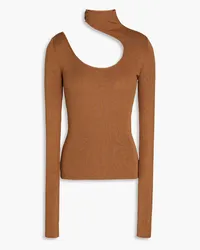 Petar Petrov Cutout ribbed-knit turtleneck top - Brown Brown