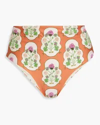 AGUA BENDITA Magenta Trebol floral-print mid-rise bikini briefs - Brown Brown