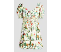 Alice Olivia - Kristie smocked floral-print broderie anglaise mini dress - Green