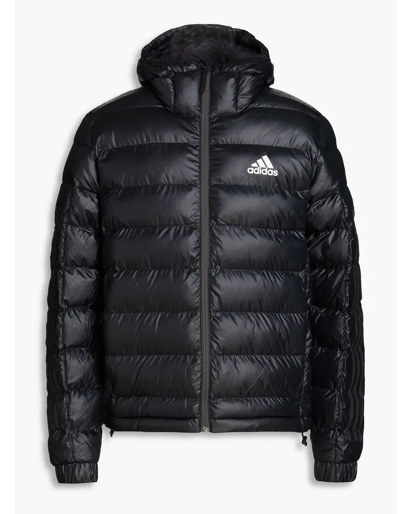 adidas Quilted shell hooded jacket - Black Black