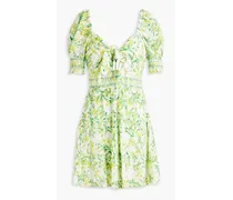 Alice Olivia - Kristie smocked floral-print broderie anglaise mini dress - Green