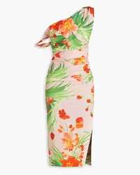 Carolina Herrera New York One-shoulder floral-print stretch-cotton poplin midi dress - Pink Pink