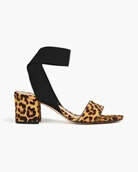 Gianvito Rossi Leopard-print calf-hair sandals - Animal print Animal