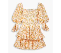 Finley ruffled floral-print cotton-blend poplin mini dress - Yellow