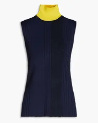 Roksanda Ilincic Tala two-tone ribbed turtleneck vest - Blue Blue