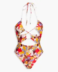 Rebecca Vallance Santiago cutout floral-print halterneck swimsuit - Red Red