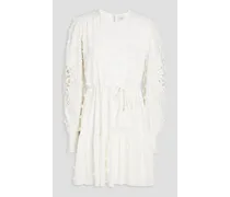 Carolina macramé-trimmed floral-appliquéd cotton mini dress - White