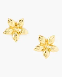 Marni Gold-tone earrings - Metallic Metallic