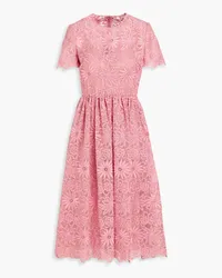 Valentino Garavani Guipure lace cotton-blend midi dress - Pink Pink