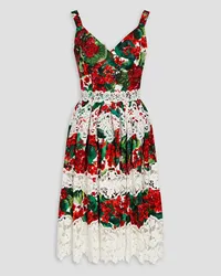 Dolce & Gabbana Crochet-trimmed floral-print cotton-blend poplin dress - Red Red