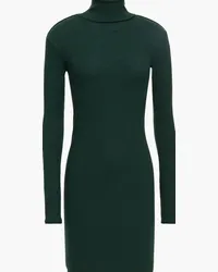 Enza Costa Ribbed modal-blend turtleneck mini dress - Green Green