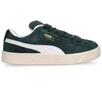 Sneakers Suede XL Hairy