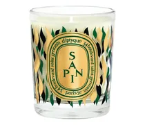 70gr Sapin candle