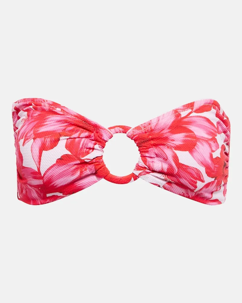 Alexandra Miro Top bikini a fascia Carlotta con stampa Multicolore