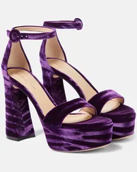 Gianvito Rossi Sandali Holly in velluto con plateau Viola