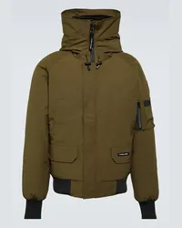 Canada Goose Bomber Chilliwack con imbottitura Verde