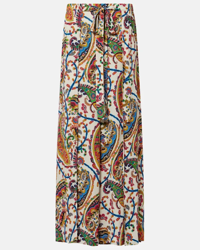 Etro Gonna lunga plissÃ© con stampa paisley Multicolore