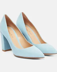 Gianvito Rossi Pumps in suede Blu