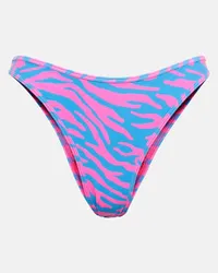 Reina Olga Slip bikini Coolio con stampa Blu