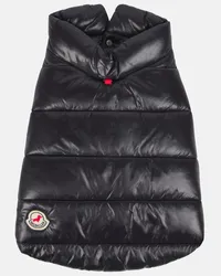 Moncler Moncler Poldo Dog Couture - Cappotto per cani Nero