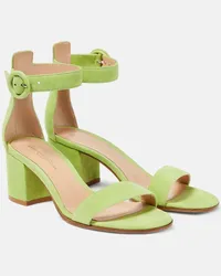 Gianvito Rossi Sandali Versilia 60 in suede Verde