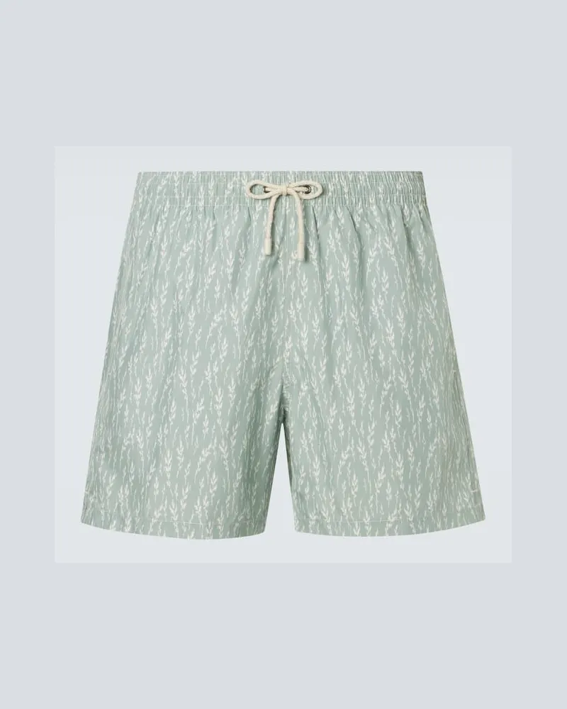 Canali Costume da bagno con stampa Verde
