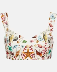 Dolce & Gabbana Top bralette Capri in cotone con stampa Multicolore