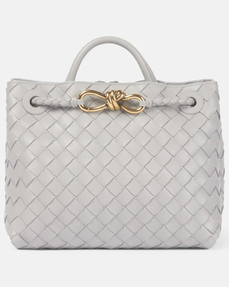 Bottega Veneta Borsa Andiamo Small in pelle Grigio