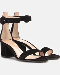 Gianvito Rossi Sandali Versilia 60 in suede Nero